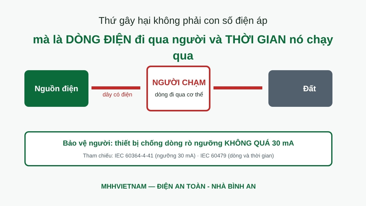 Sơ đồ minh hoạ dòng điện đi qua người và ngưỡng bảo vệ 30 mA